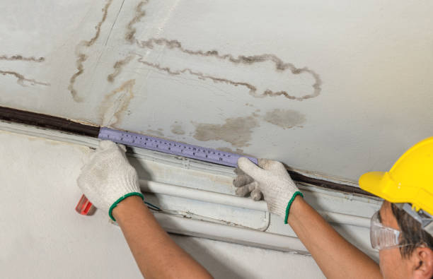 Reliable Water Damage contractor in Genesee, ID by Water Damage Irwin
